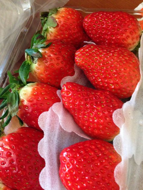 Sweet Korean strawberry Korean Strawberry, East Asia, North East, Good Food, Fruit, Drinks