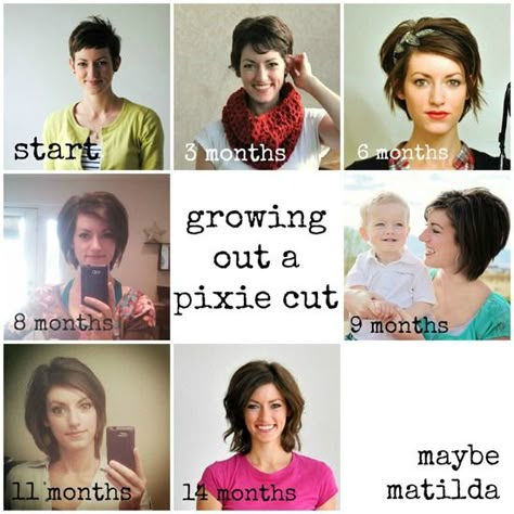 pixie growth collage Growing Out A Pixie Cut, Growing Out Pixie Cut, Growing Out A Pixie, Grown Out Pixie, Growing Out Hair, Growing Out Short Hair Styles, Hair Affair, Hair Envy, Grow Out