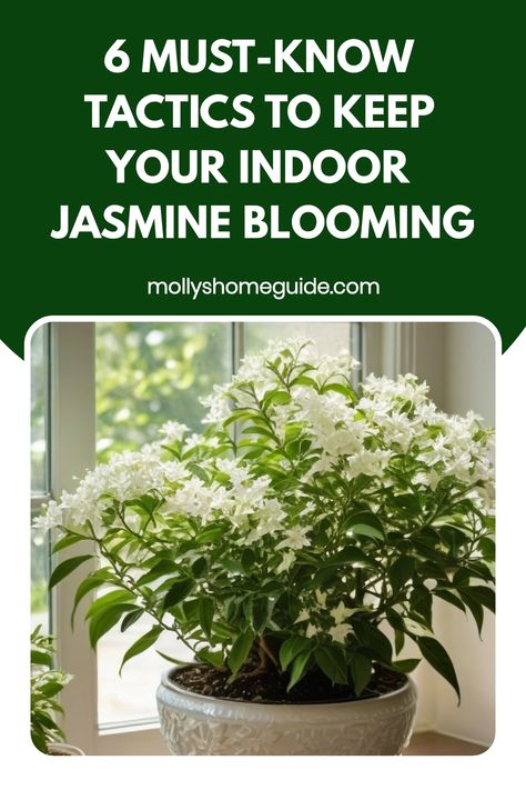 Discover step-by-step instructions on how to successfully grow beautiful jasmine plants indoors. Explore the best techniques for nurturing your indoor jasmine, from soil selection and watering tips to proper sunlight exposure and pruning practices. Learn everything you need to know about creating an ideal environment for your jasmine plant to thrive within the comfort of your home. Bring the fragrant essence of jasmine into your living space by mastering the art of indoor cultivation with these Growing Jasmine In A Pot, How To Grow Jasmine, Jasmine Indoor Plant, Jasmine Plant Care, Indoor Jasmine Plant, Jasmine Plant Indoor, Indoor Jasmine, Indoor Tree Plants, Succulent Landscape