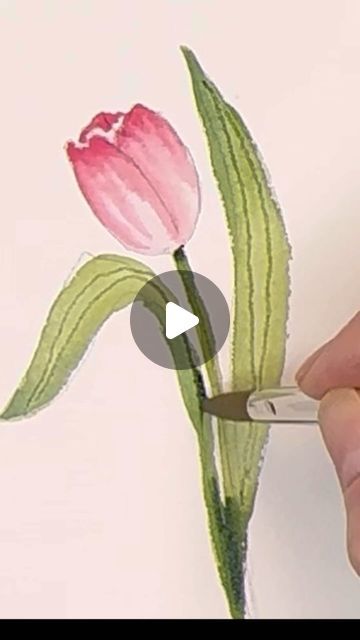 Artist/designer/ Illustrator on Instagram: "Let’s paint some simple tulips using simple techniques. It’s very easy for any skill level and you can up your game by adding in more varieties, with color ,texture, etc. go check it out on my YouTube link and profile. Have a happy Friday.!
.
.
.
.
,
,
,
,
.
#watercolor #watercolorpainting #tulips #spring #flowerpainting #artoftheday #carveouttimeforart #tulippainting #watercolorartist" Paint Tulips Easy, Tulip Watercolor Painting Tutorial, Tulip Watercolor Painting Easy, Watercolor Tulips Tutorials, Watercolor Tulips Easy, How To Paint Tulips, Tulip Watercolor Painting, Tulip Flower Drawing, 2x2 Picture