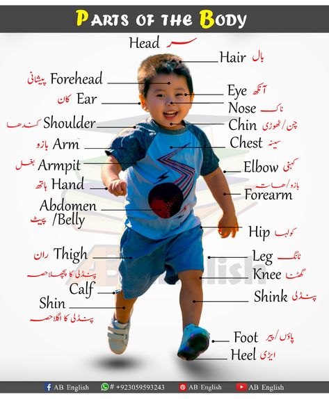 Learn all external parts of the body in English with urdu Parts Of Body Name, Body In English, Body Parts Name, Basic English Vocabulary, Urdu Stories For Kids, Human Body Vocabulary, Body Parts For Kids, Body Name, Parts Of Body