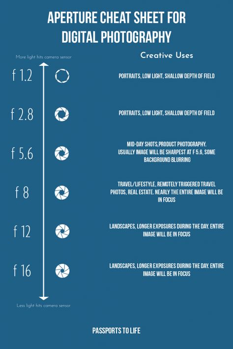 what is f stop, what is aperture in photography, how does f stop work, photography aperture cheat sheet, understanding exposure in photography, photography tutorials, how to use manual mode, basic photography tips What Is Aperture In Photography, Photography Manual Mode, Camera Manual Mode Cheat Sheet, How To Get A Blurry Background In Photos, F Stop Cheat Sheet, Aperture In Photography, How To Use Camera Photography Tutorials, F Stop Photography, Basic Photography Tips