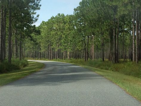 Bike Trails in North Florida | Natural North Florida Florida Tourism, North Florida, Rural Area, Bike Trails, Central Florida, Capital City, Hiking Trails, Small Towns, The Locals