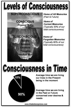 Levels of Consciousness in the 3rd Dimension & the Brain Wave States | Bear With Me 3rd Dimension, Subconscious Mind Power, Die To Self, Jungian Psychology, Energy Consciousness, Social Skills Groups, Brain Facts, Levels Of Consciousness, Bear With Me