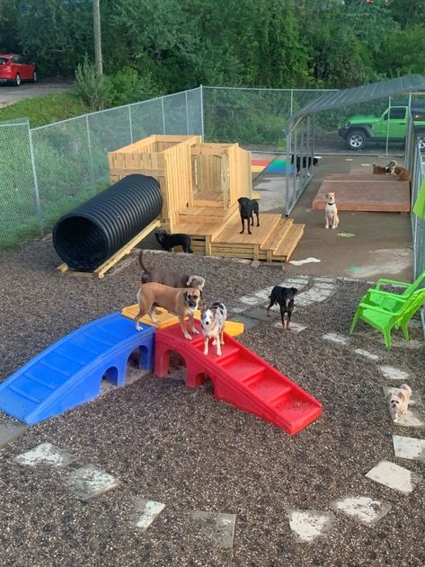 Small Dog Park Ideas, Home Boarding For Dogs, At Home Dog Daycare, Outdoor Dog Playground, Dog Daycare Activities, Dog Playground Backyard Diy, Dog Playground Ideas, Backyard Dog Playground, Doggie Daycare Ideas