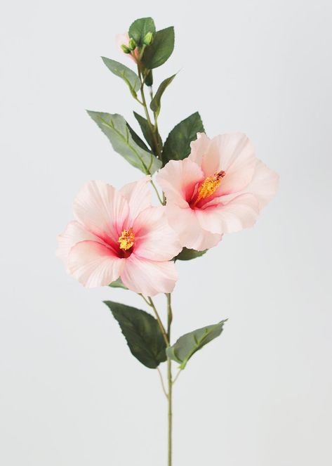 Exotic Flowers, Beautiful Flowers Photography, Silk Flowers Wedding, Pink Wedding Flowers, Flower Spray, Silk Flower, Botanical Flowers, Flower Aesthetic, Hibiscus Flowers