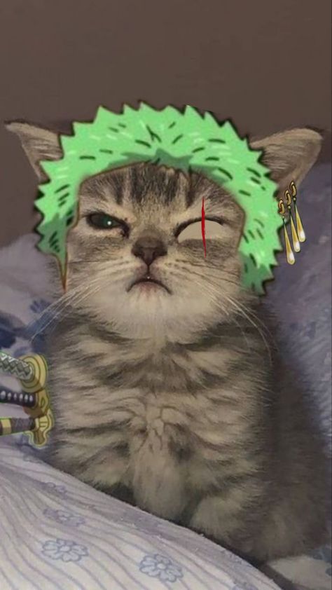 Blonde Hair, Studio Ghibli, Hair Colours, Zoro Cat, Puppy Cute, Cute Dog, Hair Colors, Blonde, Kitty