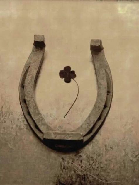 The "proper" placement of a horseshoe... Upside down, the luck runs out.... Horseshoe Tattoo, Horse Shoe Tattoo, Clover 3, Nature Posters, Lucky Horseshoe, Tattoo Meaning, Horse Shoe, St Pattys Day, Four Leaf