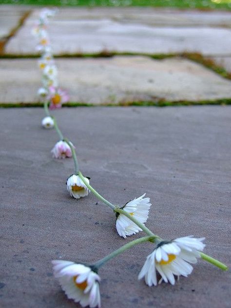 Nostalgic Childhood, Daisy Chains, 1970s Childhood, Child Hood, Childhood Memories 70s, Good Old Times, Childhood Days, Those Were The Days, 90s Childhood