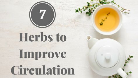 Herbs For Inflammation, Leg Circulation, Best Herbal Tea, Dried Berries, Eye Sight Improvement, Poor Circulation, Workout Chart, Circulatory System, Homemade Remedies