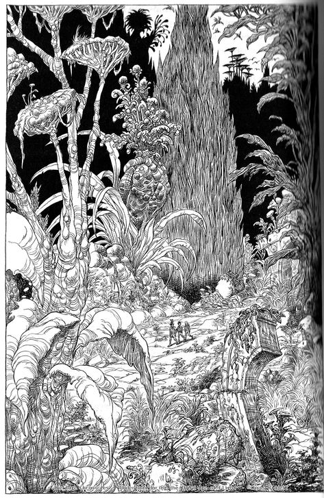 Chris Riddell, Ink Pen Art, Monochromatic Art, Pen Drawings, Tinta China, Nature Drawing, Ink Drawings, Landscape Drawings, Black And White Drawing