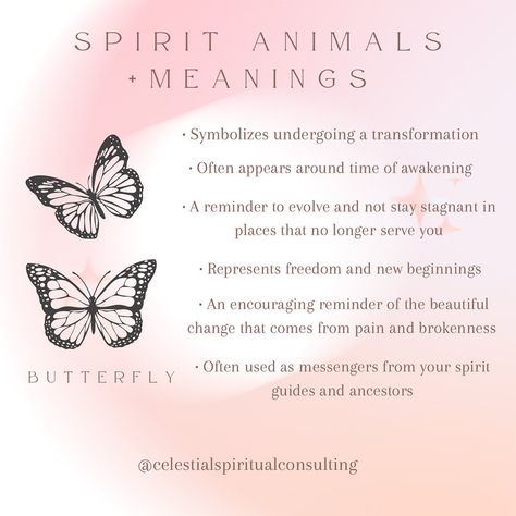 Do you see butterflies everywhere? They could be guiding you to trust the process and lean into a time of personal transformation! #spiritanimals #spiritguides #synchronicity Butterfly Spirit Animal, Witchy Business, Spiritual Life Coach, Totem Animals, Spirit Signs, Animal Spirit Guides, Animal Spirit, Personal Transformation, Spirit Animals