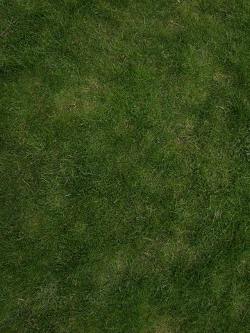 Photoshop Tutorial: How to create a tileable grass textures with the Pattern Filter » tonytextures.com Grass Texture Seamless, Grass Texture, Photoshop Landscape, Game Textures, Grass Pattern, Tree Textures, Photoshop Resources, Carpet Texture, Architecture Model Making