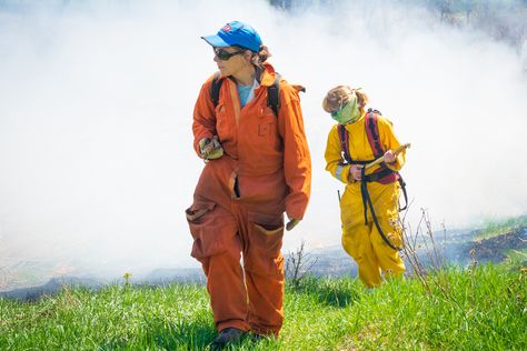 Burning parcels of land intentionally, known as controlled burning, has long been a controversial practice aimed at reducing the risk of larger, uncontrolled wildfires. Unintended Consequences, Carbon Dioxide, Plant Species, New Growth, National Forest, Local News, Up To Date, Phoenix, Arizona