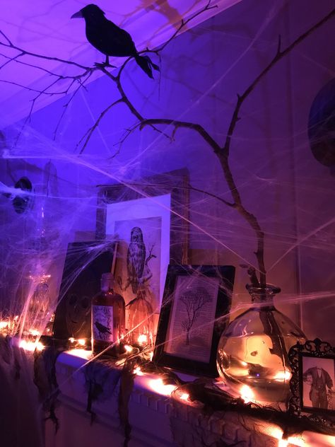 Purple And Black Halloween Birthday Party, Orange And Purple Halloween Lights, Purple And Green Halloween Decor, Purple And Black Halloween Decorations, Black And Purple Halloween Decorations, Halloween Aesthetic Purple, Halloween Party Lighting, Purple Halloween Decor, Purple Halloween Decorations