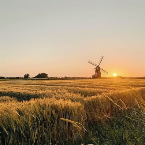 Sunset Windmill Scene: A tranquil windmill overlooks a golden wheat field during a breathtaking sunset in the countryside. #sunset #windmill #wheat #field #countryside #aiart #aiphoto #stockcake ⬇️ Download and 📝 Prompt 👉 https://ayr.app/l/iT9d Fox Oc, Golden Wheat Field, Farm Windmill, Golden Wheat, Wheat Field, Scene Image, Wheat Fields, Rye, Sunset Photography