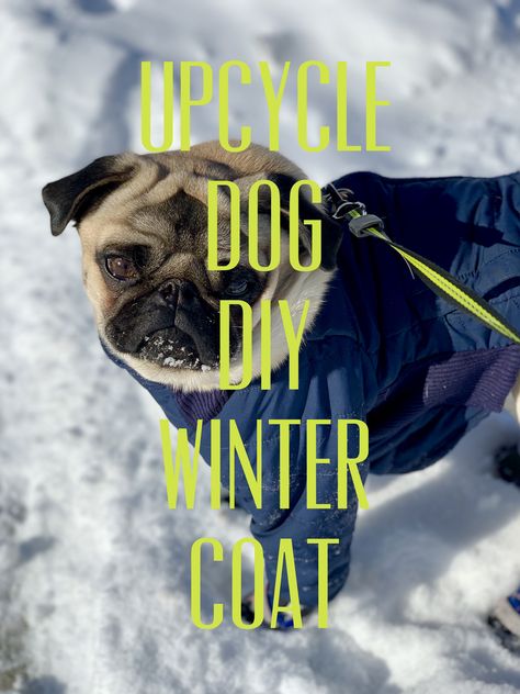 How to turn a child’s coat into a cozy winter coat for your dog - YouTube step by step free instructions Diy Dog Winter Clothes, Dog Snowsuit Pattern, Diy Dog Coat No Sew, Diy Dog Winter Coat, Dog Jacket Pattern Free Winter Coats, How To Make A Dog Coat, Free Dog Coat Pattern Sewing, Dog Coat Pattern Free Printable, Dog Jacket Pattern Free