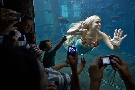 Mermaid School At The World Of Swimming Will Make Your Childhood Dreams Come True — VIDEO Mermaid School, Real Mermaid, Real Life Mermaids, How To Swim, Childhood Dream, Childhood Dreams, Real Mermaids, Beautiful Mermaids, Dreams Come True