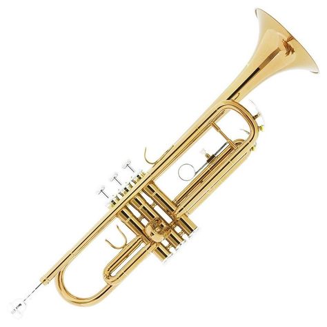 Trumpet Images, Trumpets Instrument, Pocket Trumpet, Brass Musical Instruments, Trumpet Instrument, Jazz Instruments, Instrument Music, Brass Instrument, Types Of Sound