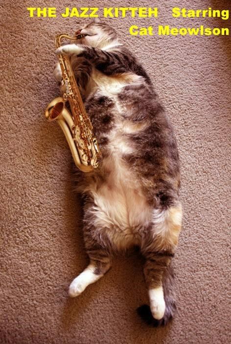 THE JAZZ KITTEH   Starring Cat Meowlson Jazz Meme, Jazz Cat, Funny Cat Memes, The Funny, Silly Cats, Cute Creatures, Cultura Pop, Vintage Aesthetic, Funny Cat