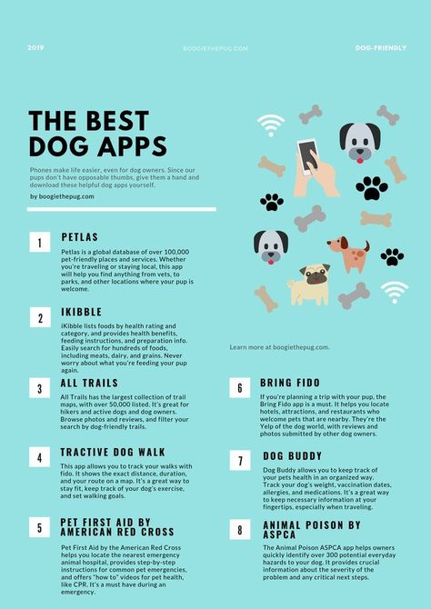 Dog Apps, Puppy Time, Cairn Terriers, Dog Information, Pet Peeves, Dog Hacks, Dog Care Tips, Puppy Care, Pet Hacks