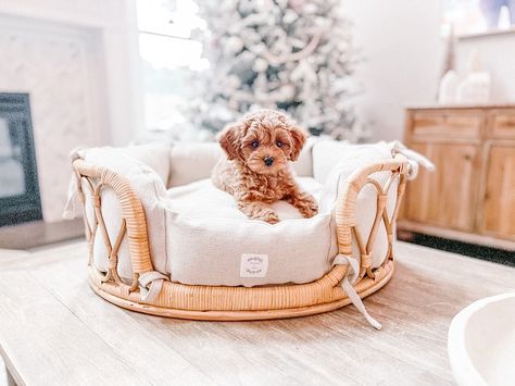 Dog Bed Small Dogs, Puppy Beds Aesthetic, Boujee Dog Beds, Cute Aesthetic Dog Beds, Cute Dog Bed Aesthetic, Beachy Dog Bed, Scandinavian Dog Bed, Cute Dog Beds For Medium Dogs, Cute Puppy Beds