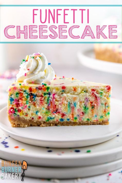 Cake Batter Cheesecake, Birthday Cheesecake Recipes, Funfetti Cheesecake, Mint Chocolate Cheesecake, Birthday Cheesecake, Cake Recipes For Kids, Bunsen Burner, Birthday Cake Flavors, Types Of Desserts