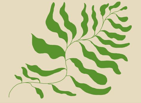 Matisse Leaves, Henri Matisse, Plant Leaves, Art Painting, Doodles, Drawings, Plants, Art