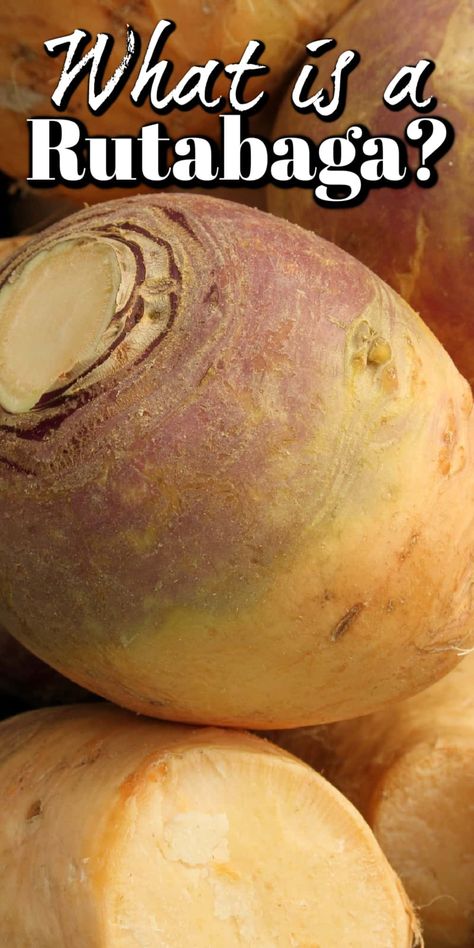 What is Rutabaga and How To Cook It is an informative article to help you try this vegetable if you have never before or to try it in new ways. Rutabaga Recipes Instant Pot, What To Do With Rutabaga, How To Cook Rutabaga Recipes, Rutabaga And Carrot Recipes, Rutagaba Recipes, Cooking Rutabaga, Rutabaga Recipes Southern, Rutabagas Recipe, Instant Pot Rutabaga