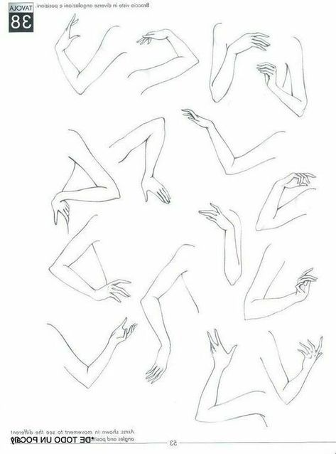 Hands And Arms Drawing, Hand And Arm Reference, Hand Arm Drawing, Women Arms Drawing Reference Poses, Arm References Drawing, Arm Drawing Reference, Drawing Arms, Arm Drawing, Fashion Illustration Tutorial