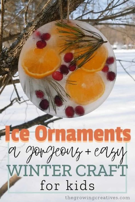 Ice Ornaments, Julkransar Diy, Easy Winter Crafts, Winter Activities For Kids, Winter Craft, Winter Crafts For Kids, Winter Kids, Nature Crafts, Winter Fun