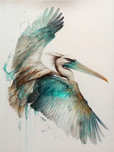 size: 12x9in Art Print: Flying Pelican by Lana Kristiansen : Flying Pelican, Pelican Painting, Watercolour Artists, Animals Reference, Watercolor Wings, Pelican Art, Glitter Painting, Shore Birds, Winged Creatures