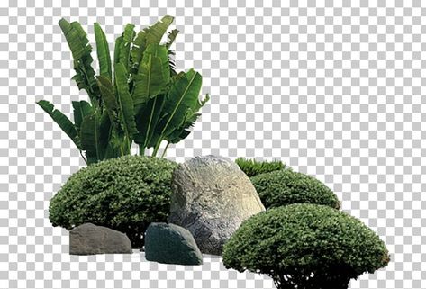 Rockery Garden, Photoshop Landscape, Tree Photoshop, Landscape Design Drawings, Photoshop Rendering, Tree Plan, Tree Png, Architecture Collage, Shadow Photos