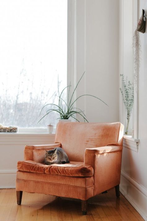 Ryan & Stephanie's Light-Filled Wicker Park Apartment — House Tour | Apartment Therapy Light Blue Armchair, Tiny Sofa, Glam Side Table, Blue Ottoman, Blue Velvet Sofa, Comfy Armchair, Neutral Furniture, Velvet Furniture, Velvet Sectional