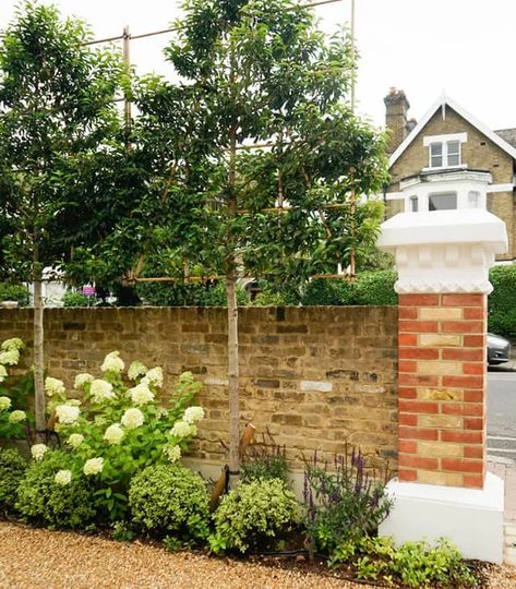 Front Garden Ideas to Boost Your Home’s Kerb Appeal | Homebuilding Large Front Garden Ideas Driveways, Front Garden Planter Ideas, Front Garden Wall Ideas Brick, Curb Appeal Uk, Large Front Garden, Birch Garden, Garden Design Ideas Uk, Small Front Garden Ideas, Front Garden Ideas Driveway