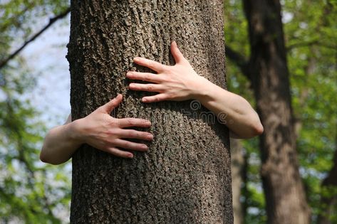 The Lady Eve, Business Pictures, Spirit Science, Tree Tree, Thich Nhat Hanh, Spiritual Healer, Dark Brown Eyes, Photoshop Effects, Tree Hugger