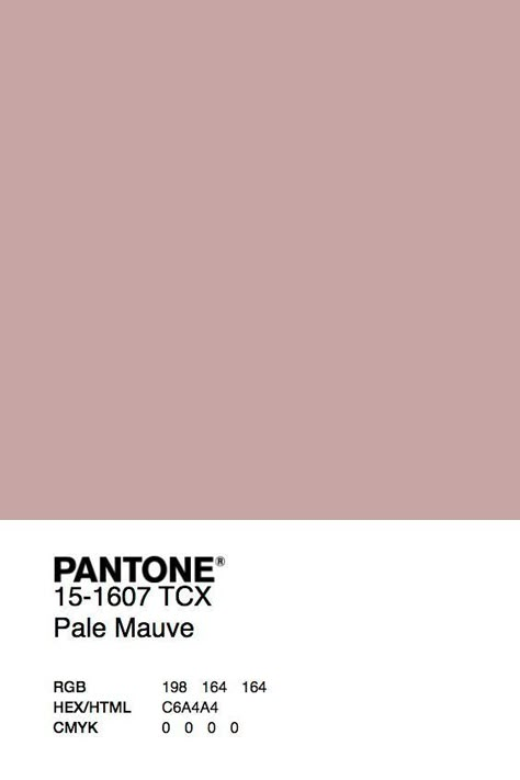 Pale Pink Walls, Mauve Walls, Murs Roses, Pantone Colour Palettes, Room Wall Colors, Bedroom Colour Palette, Paint Color Schemes, Hal Decor, Bedrooms Ideas