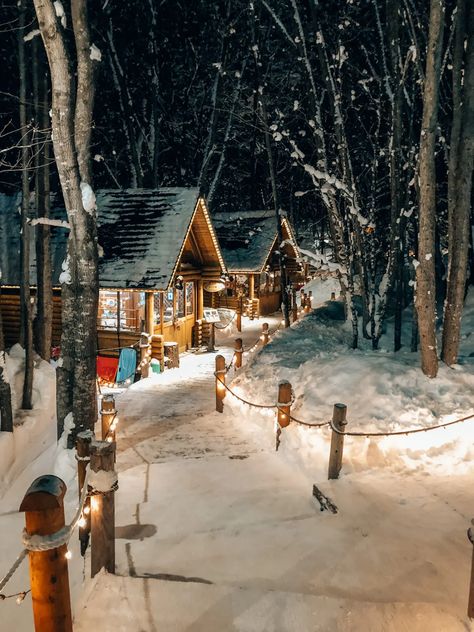 FURANO IN WINTER - ALL YOU NEED TO KNOW [HOKKAIDO] Hokkaido Aesthetic, Japan Winter Aesthetic, Hokkaido Japan, Furano Japan, Hokkaido Winter, Winter In Hokkaido, Hokkaido Japan Winter, Furano Hokkaido, Winter Lodge