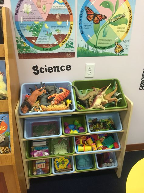 Pre-K classroom set up. Science shelf. Science Center Preschool, Preschool Organization, Pre K Classroom, Pre-k Science, Science Area, Preschool Rooms, Prek Classroom, Preschool Centers, Classroom Centers