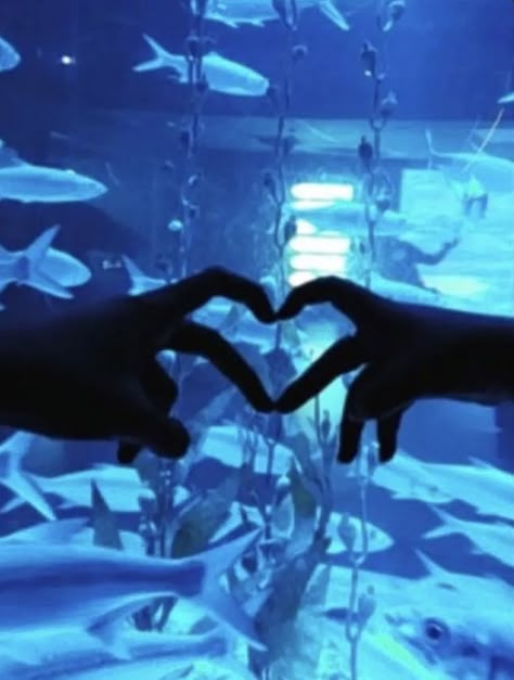 Aquriam Date, Cute Aquarium Pictures, Couple At Aquarium, Aquarium Date Pictures, Aquarium Date Aesthetic Couple, Jakarta Aquarium Aesthetic, Aquarium Date Wlw, Couple Aquarium Pictures, Date Aquarium