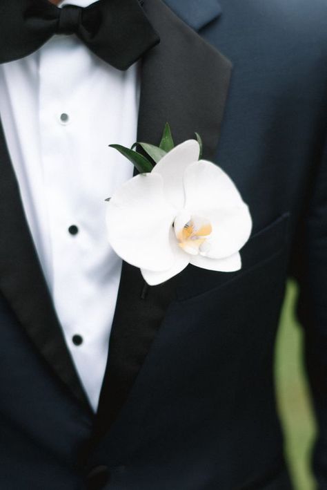 Orchid Boutonniere, Orchid Corsages, White Boutonniere, Modern Groom, Orchid Bouquet, Corsage And Boutonniere, Lapel Flower, Orchid Wedding, Hand Bouquet