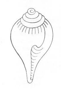 The Conch Shell (Skt. shankha; Tib. dung dkar): - Spiritual World Shankh Tattoo Design, Shankha Design Painting, Shell Drawing Simple, Vedic Symbols, Shankha Design, Conch Drawing, Conch Shell Drawing, Shells Drawing, Shell Drawings