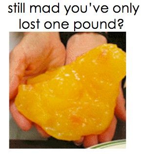 Yeah, this is what one pound of fat looks like! Be proud when you lose one pound! Be VERY proud! ~ How To Be Stunning: 6 Pounds Down...15-20 to Go! One Pound Of Fat, Medical Study, Insulin Sensitivity, Nutritional Cleansing, Visceral Fat, Michelle Lewin, This Is Your Life, Pound Of Fat, Think Food