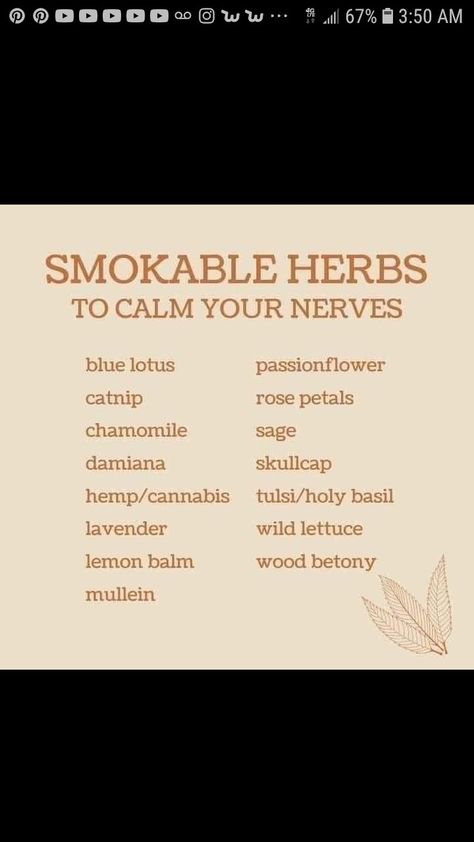 Ancient Smokable Herbs, Herbs That Can Be Smoked, Smokable Herbs List, Herbal Cigars, Smokeable Herbs List, Smokable Herb Blends Diy, Black Walnut Hull Benefits, Smokeable Herbal Blends, Smokable Herbs And Their Benefits