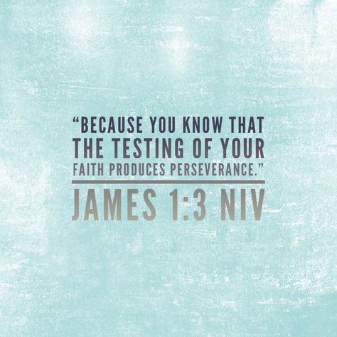 Wisdom Speaks, Niv Bible, Scripture Of The Day, Faith Scripture, James 1, Biblical Quotes, Spiritual Life, Letter Art, Bible Journaling