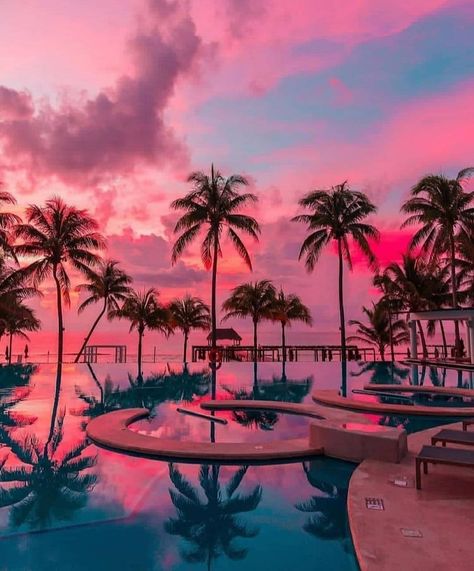 #sky #nature #palm #beach #sunset #pool #travel #trees #photography #summer  https://weheartit.com/entry/327570153 Wallpaper Estetika, Aesthetic Posters, Beach Wallpaper, Sunset Wallpaper, Tropical Island, Beautiful Nature Wallpaper, Summer Wallpaper, Sunset Pictures, Alam Yang Indah