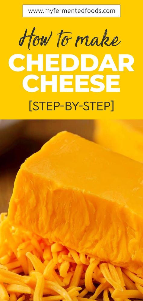 The most popular cheese in the UK and the second-most popular in the US, Cheddar cheese attracts a lot of attention, especially among true epicures. Put on your cooking gloves, as we’re about to share with you the best Cheddar cheese recipe. . . . #MyFermentedFoods #FermentedFoods #CheeseRecipe #Cheese #CheddarCheese #MakingCheese Making Cheddar Cheese At Home, Sharp Cheese Recipes, Farmhouse Cheddar Recipe, How To Make Cheddar Cheese At Home, How To Make Cheddar Cheese, Diy Cheddar Cheese, Make Cheese, Fermented Cheese, Homemade Cheddar Cheese