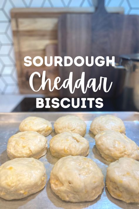 Cheddar Biscuit Recipe, Sourdough Treats, Cheddar Biscuit, Sourdough Biscuits, Recipe Using Sourdough Starter, Sourdough Bread Starter, Bread Sourdough, Sourdough Starter Discard Recipe, Starter Recipe