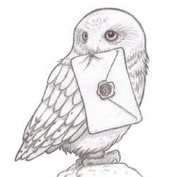 Response 1 | Write a Letter to Yamaguchi Tadashi - Quiz Harry Potter Sketch, Citate Harry Potter, Harry Potter Art Drawings, Harry Potter Owl, Harry Potter Hedwig, Dobby Harry Potter, Harry Potter Tattoos, Harry Potter Tattoo, Potter Art