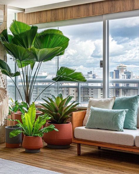 Indoor Plants Styling, Big Balcony, Landscaping Inspiration, Master Decor, House Plants Decor, Welcome To The Jungle, Balcony Design, Apartment Balconies, Balcony Decor